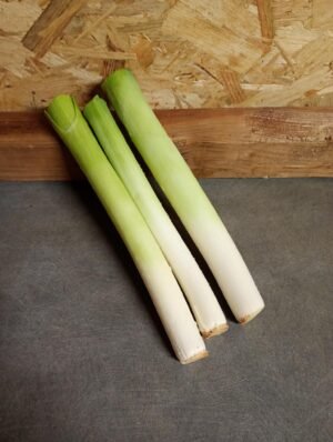 POIREAU - blanc pour fondue - 500 g - 4,50 €/kg -